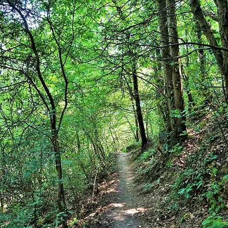 Camagnolia מונטגרוטו טרמה